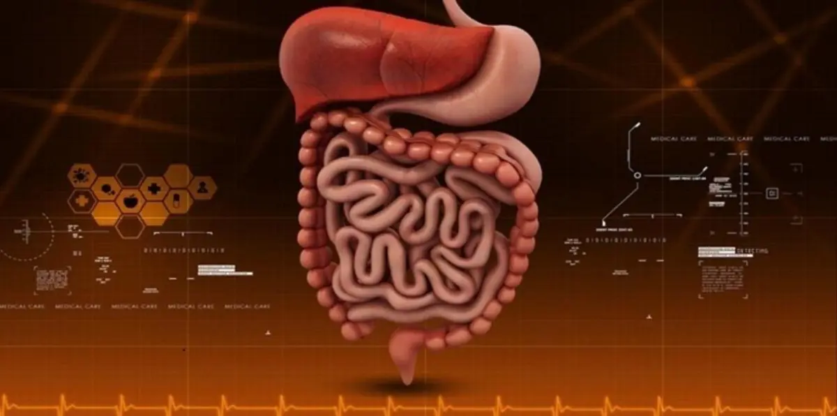 مرض التهاب الأمعاء.. الأسباب والأعراض والعلاج