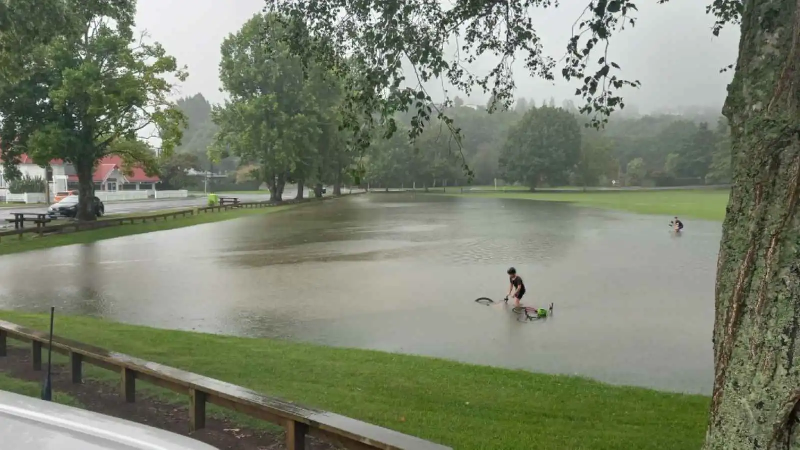 فيضانات في نيوزيلندا