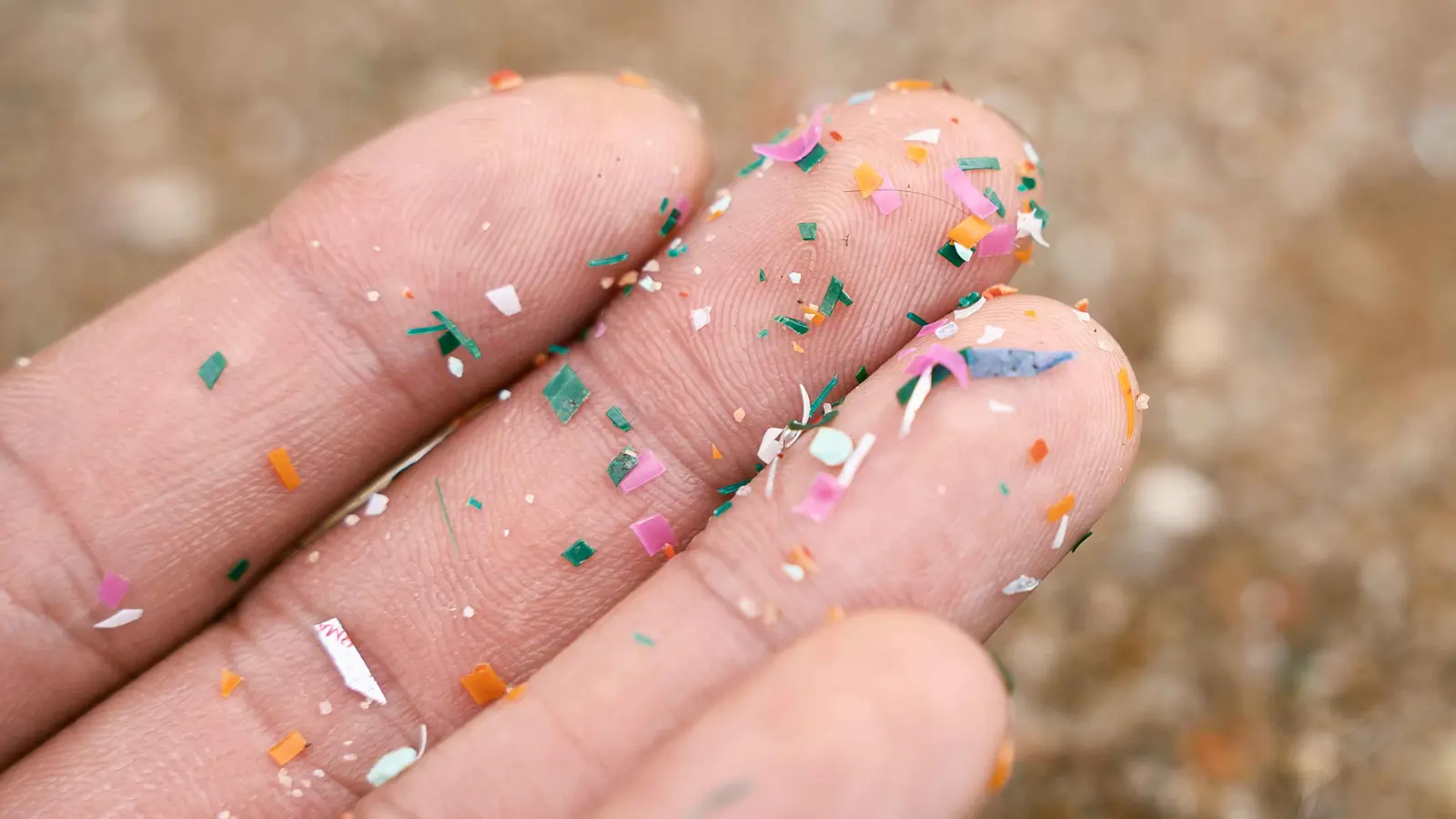 اختبارات منزلية مبتكرة لقياس التلوث الداخلي بالبلاستيك والسموم