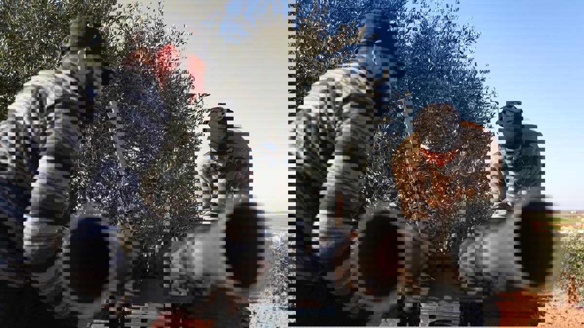 المعارضة السورية تعلن استعادة سراقب الاستراتيجية