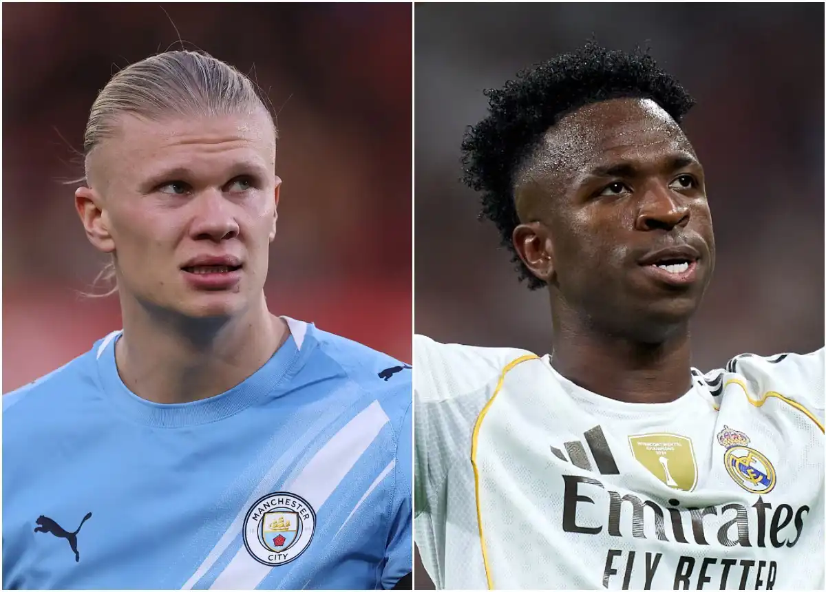 هالاند وفيني