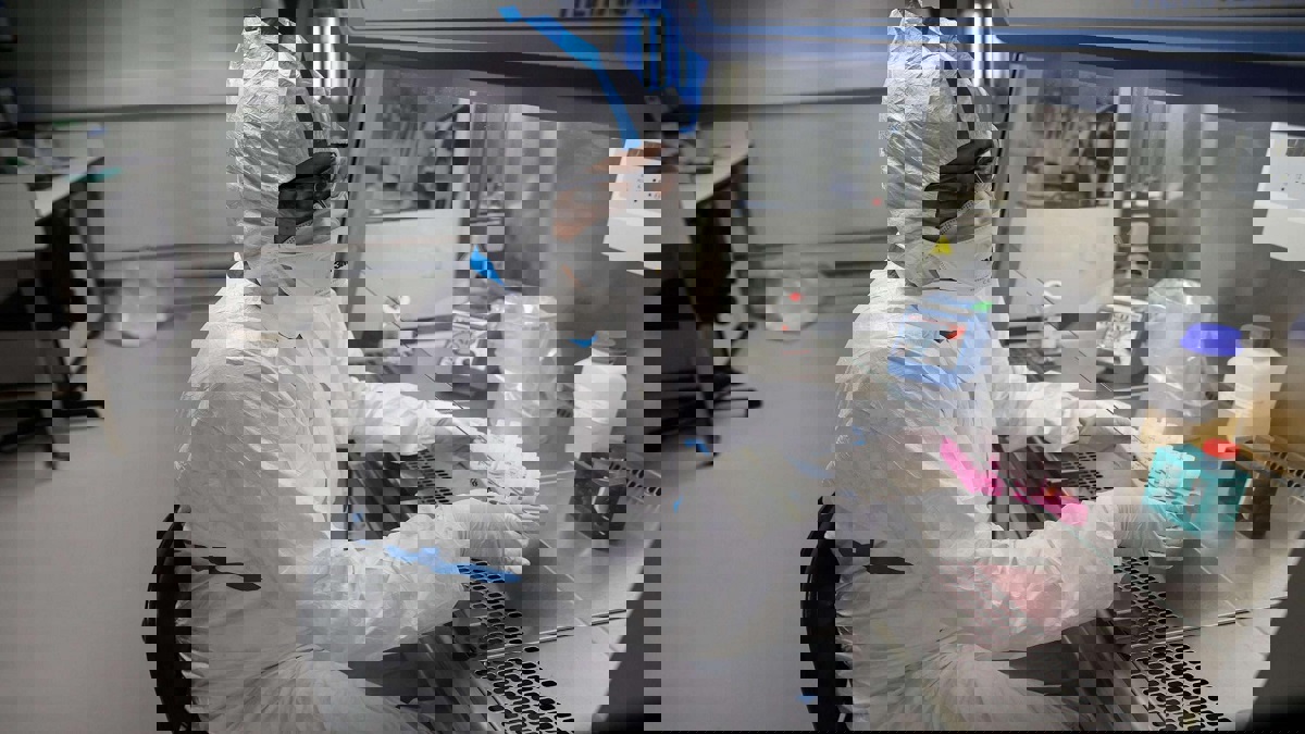 كيف يهاجم كورونا الخلايا البشرية ويقلب نظام المناعة ضد المصاب؟