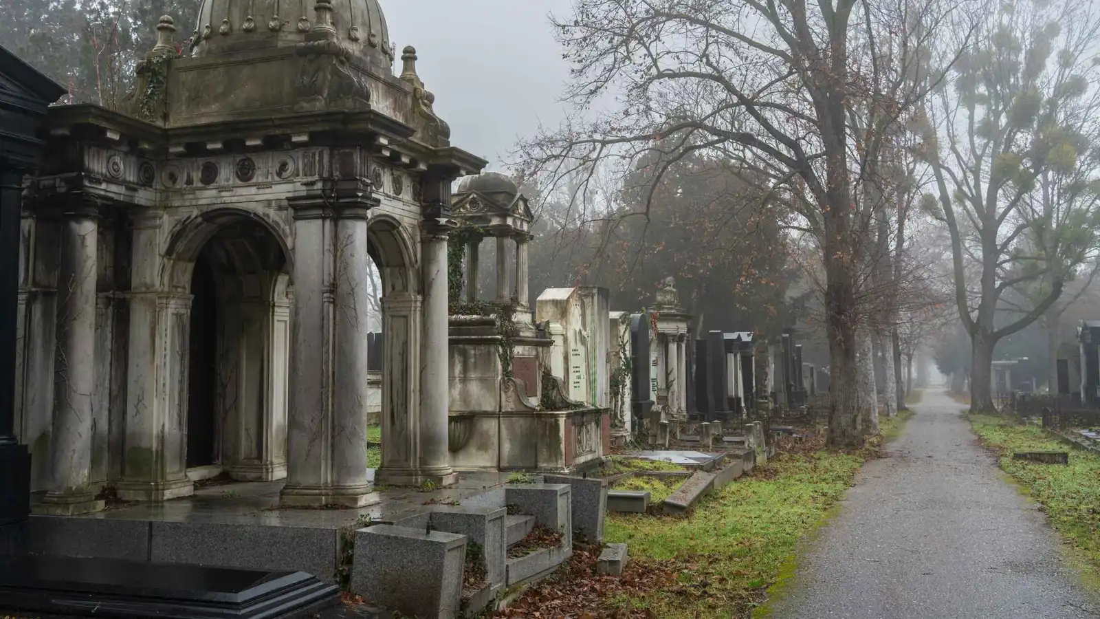 "جريمة مروعة".. مراهقة تعترف بقتل امرأة طعناً في مقبرة بالنمسا