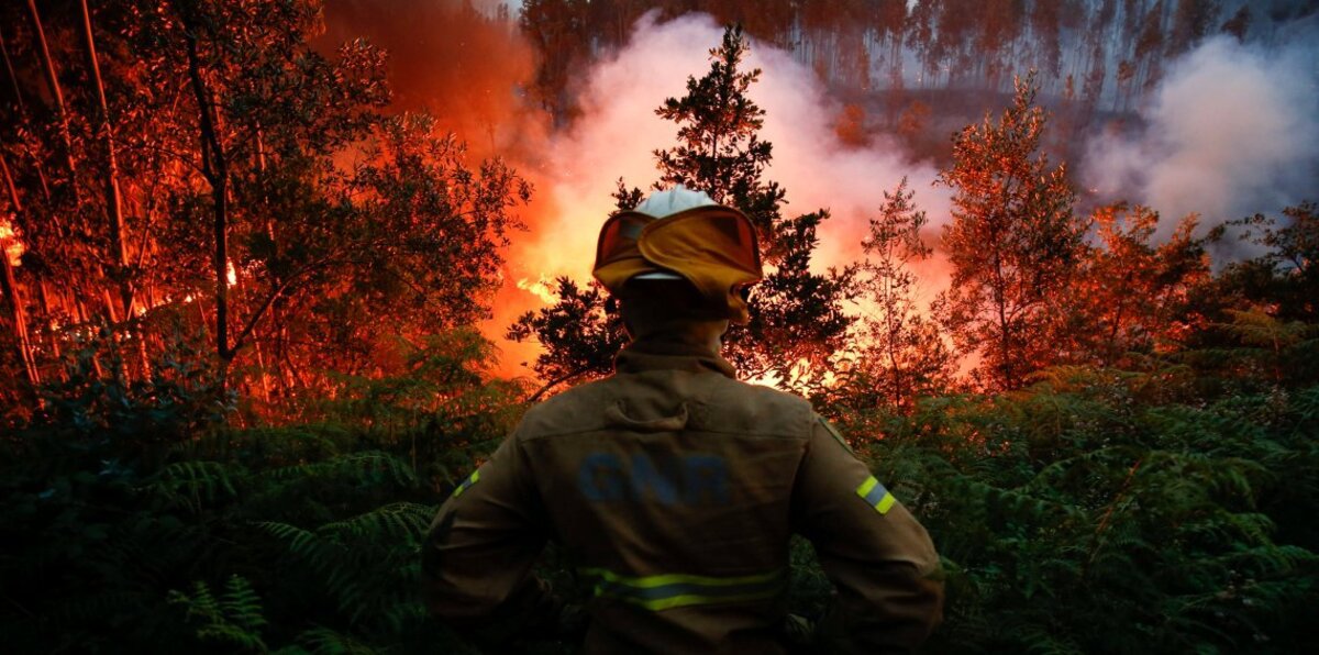 بريطانيا تستنجد بالجيش لمكافحة أسوأ حريق غابات في البلاد