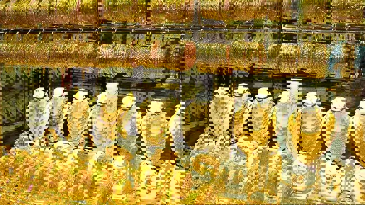 الذهب يتماسك مع حذر المستثمرين بسبب الصراع بين روسيا وأوكرانيا