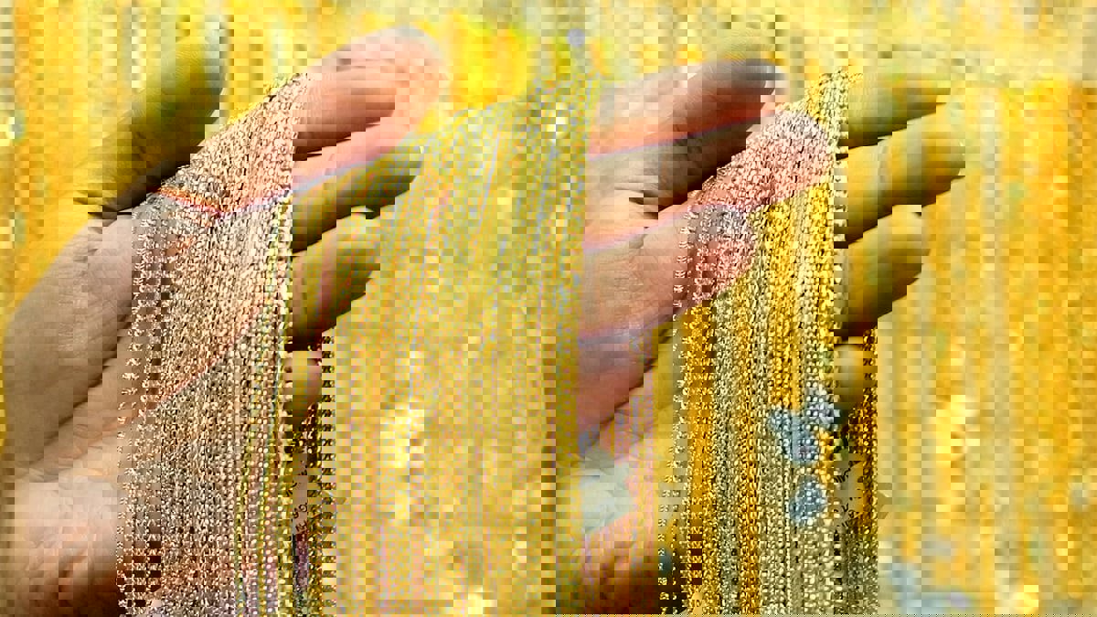 الذهب يرتفع وسط تحذيرات من المتحور أوميكرون