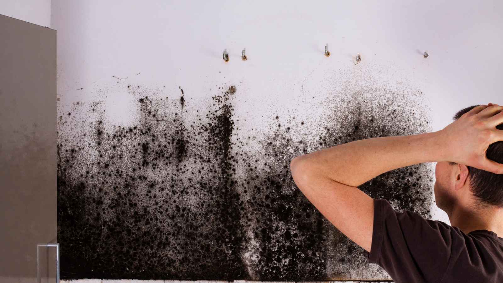 هل يسبب التعرض للعفن مرض باركنسون؟