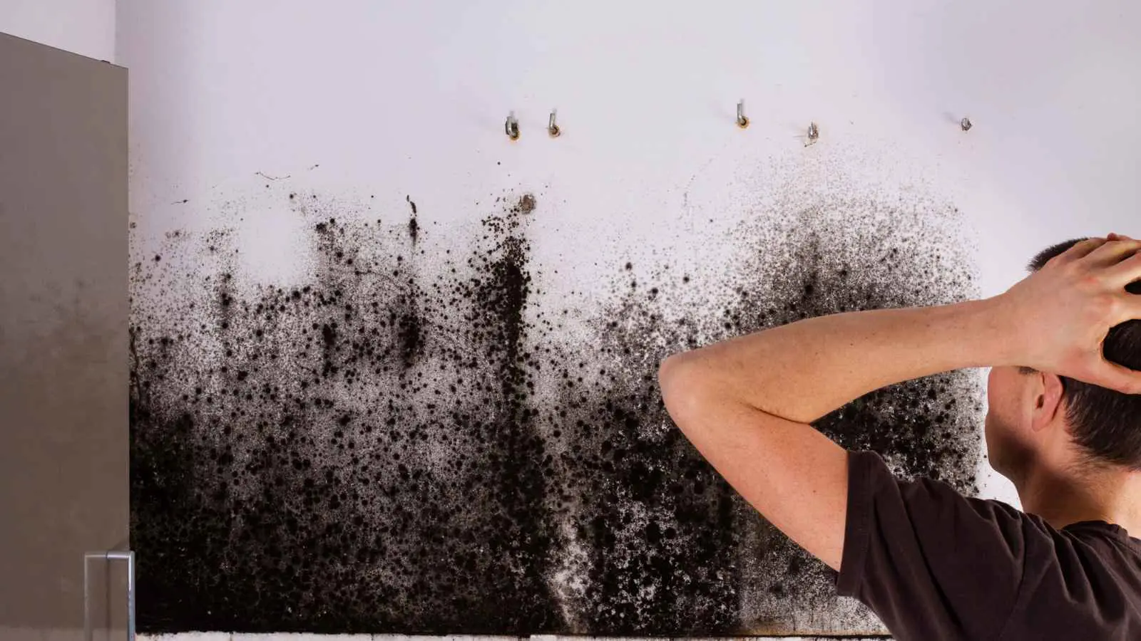 هل يسبب التعرض للعفن مرض باركنسون؟