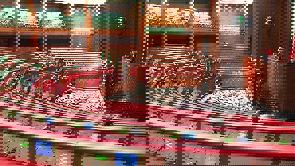 المغرب.. مجلس المستشارين يصادق على تقنين زراعة القنب الهندي