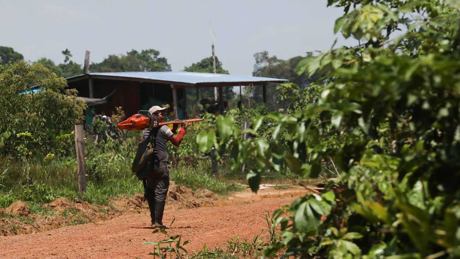 "أمازون كولومبيا".. كيف التهمت "مافيات الذهب والكوكايين" رئة العالم؟