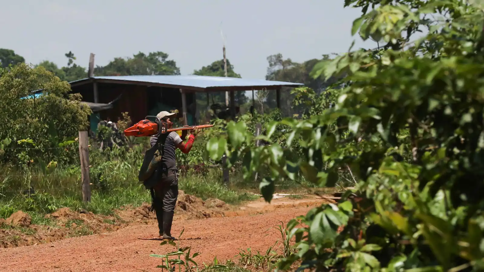 "أمازون كولومبيا".. كيف التهمت "مافيات الذهب والكوكايين" رئة العالم؟