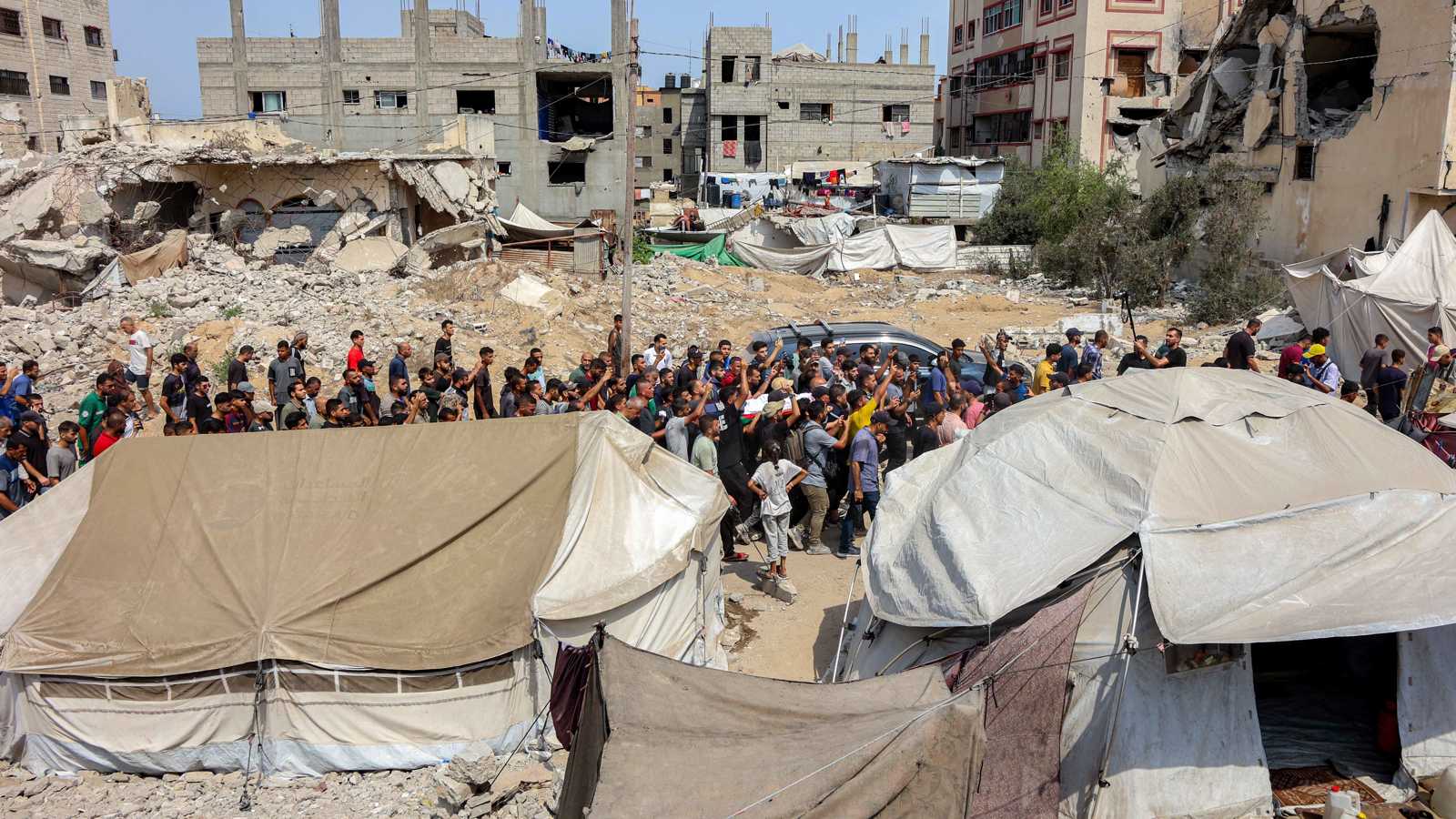 بشارة بحبح: مفاوضات هدنة غزة قد تمتد لأشهر