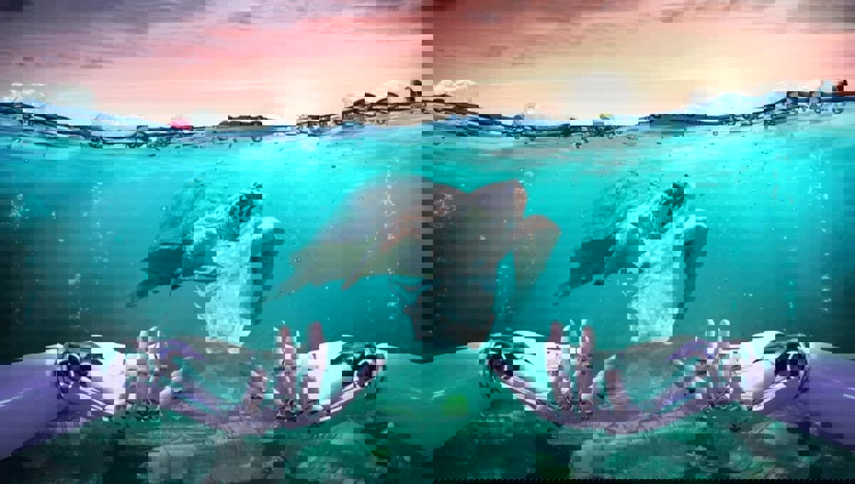  كيف يمكن للذكاء الاصطناعي المساعدة في استعادة صحة البحار والمحيطات؟