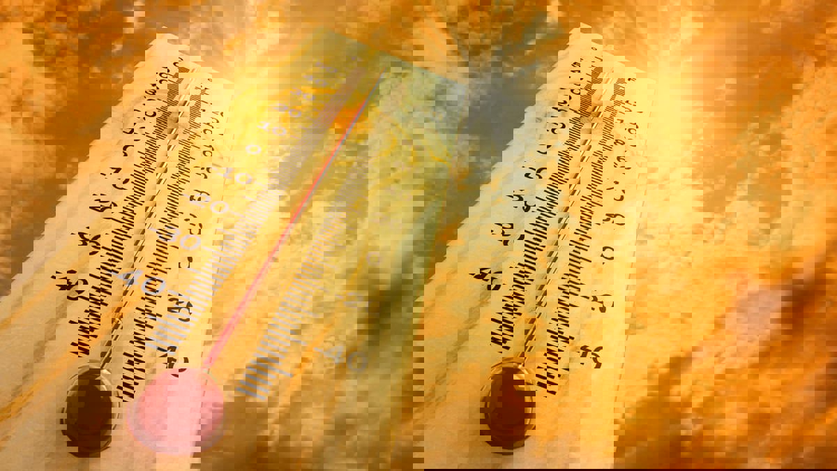 عالم مناخ فرنسي: فصول الصيف المقبلة ستكون أشد حرارة من صيف 2022