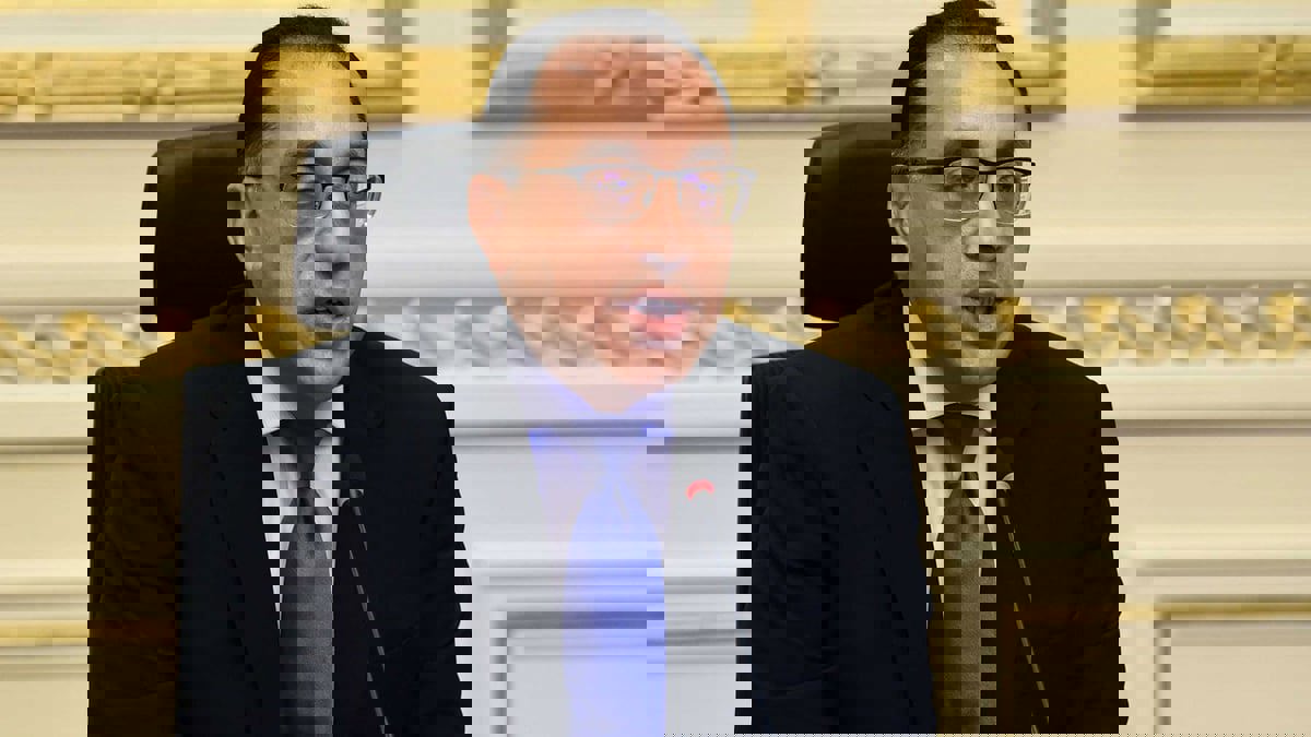 مصر تمنح الجنسية لخمسة سوريين ويمني