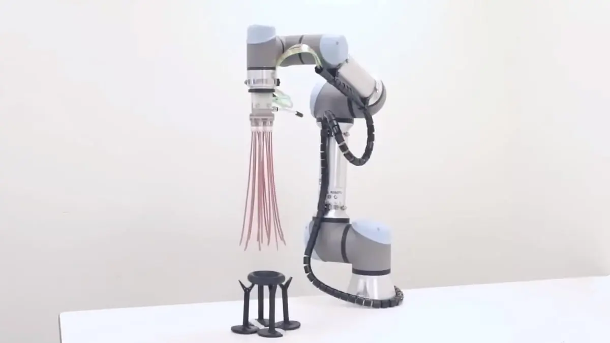 باحثون يبتكرون ملقطا روبوتيا مستلهما من قنديل البحر 