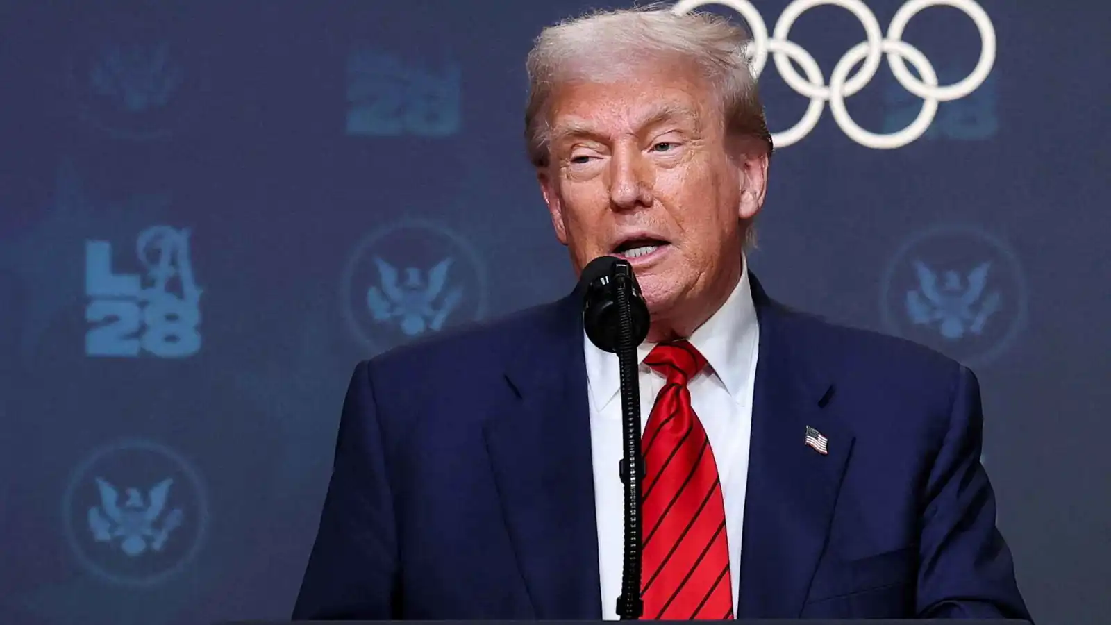 خلف "ستار الضبابية".. ترامب يخفي موقفه من احتلال قطاع غزة (فيديو)