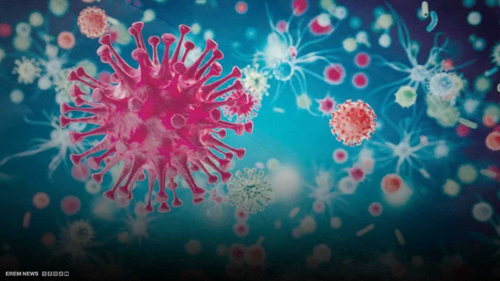 من نزلات البرد إلى حالات الموت المفاجئ… أوروبا تواجه فيروسًا غامضًا (فيديو إرم)