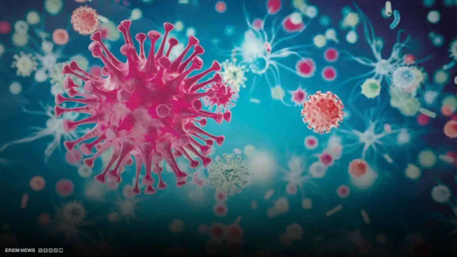 من نزلات البرد إلى حالات الموت المفاجئ… أوروبا تواجه فيروسًا غامضًا (فيديو إرم)