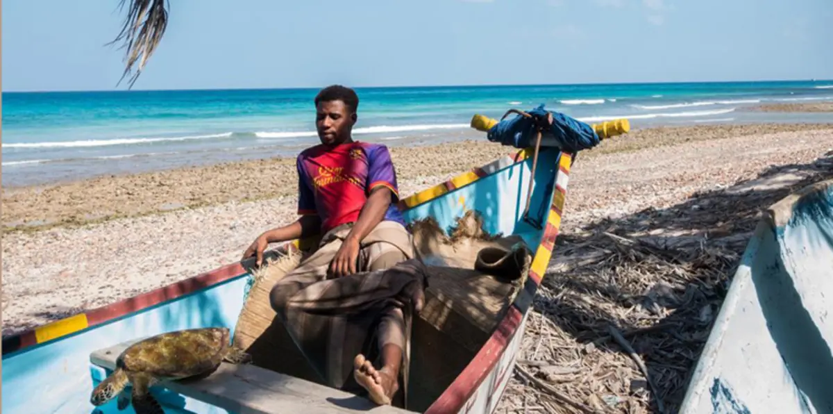 سقطرى.. جزيرة يمنية نجت من الحرب وغدر بها البحر