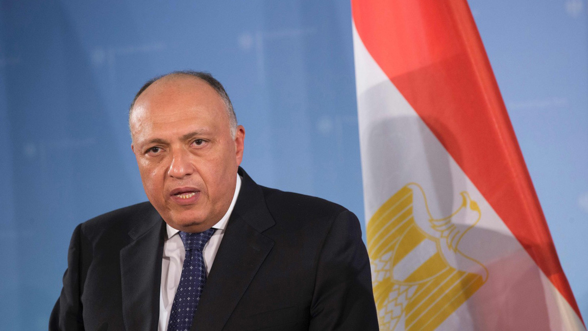 وزير خارجية مصر في "منتدى هيئات الاستثمار الأفريقية": لا تنمية دون استقرار (فيديو)