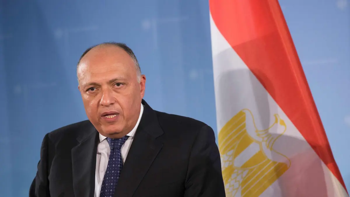 وزير خارجية مصر في "منتدى هيئات الاستثمار الأفريقية": لا تنمية دون استقرار (فيديو)