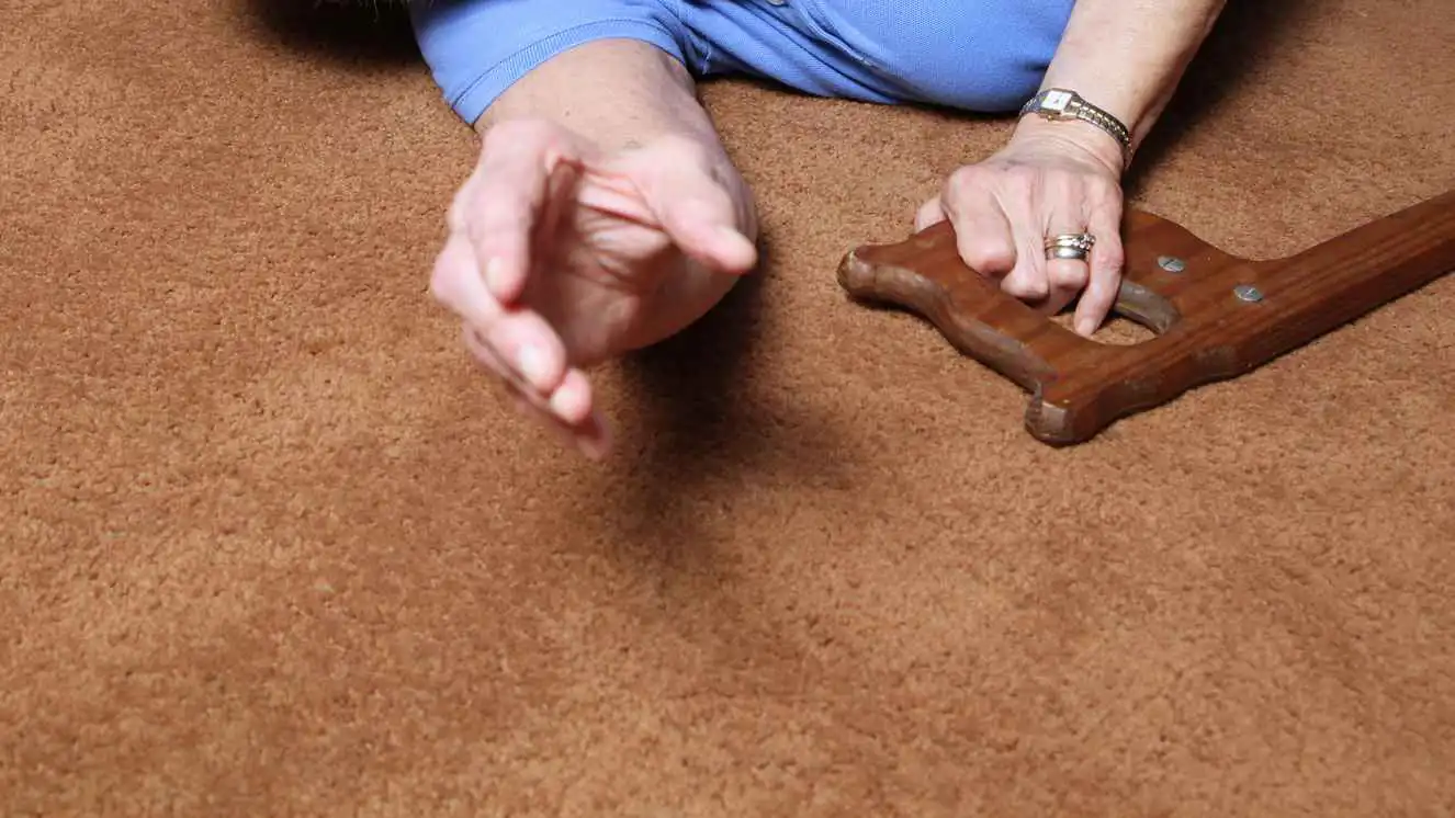 قطع رأسها.. محاكمة شاب بتهمة قتل جدته بطريقة مفزعة