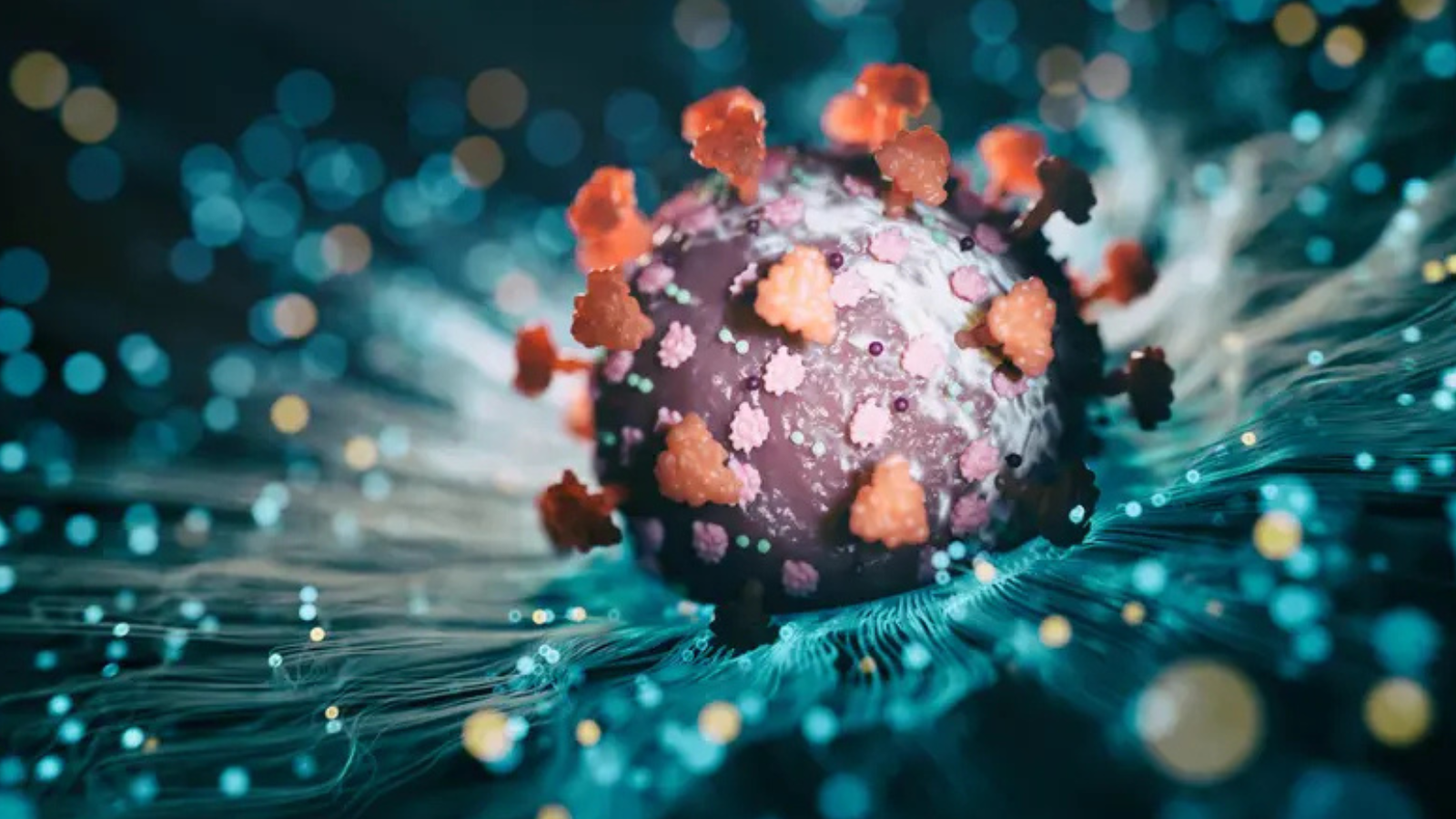 ما حقيقة انتشار المتحور "إكس أي سي" في الجزائر؟