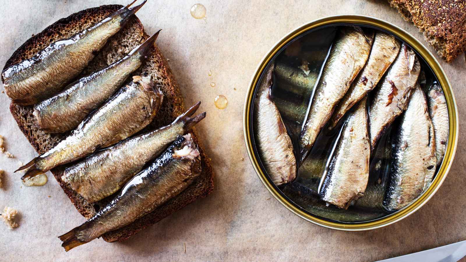 التغير المناخي يهدد السردين المعلب في فرنسا