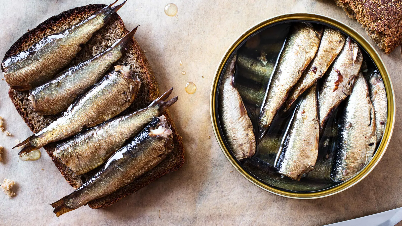 التغير المناخي يهدد السردين المعلب في فرنسا