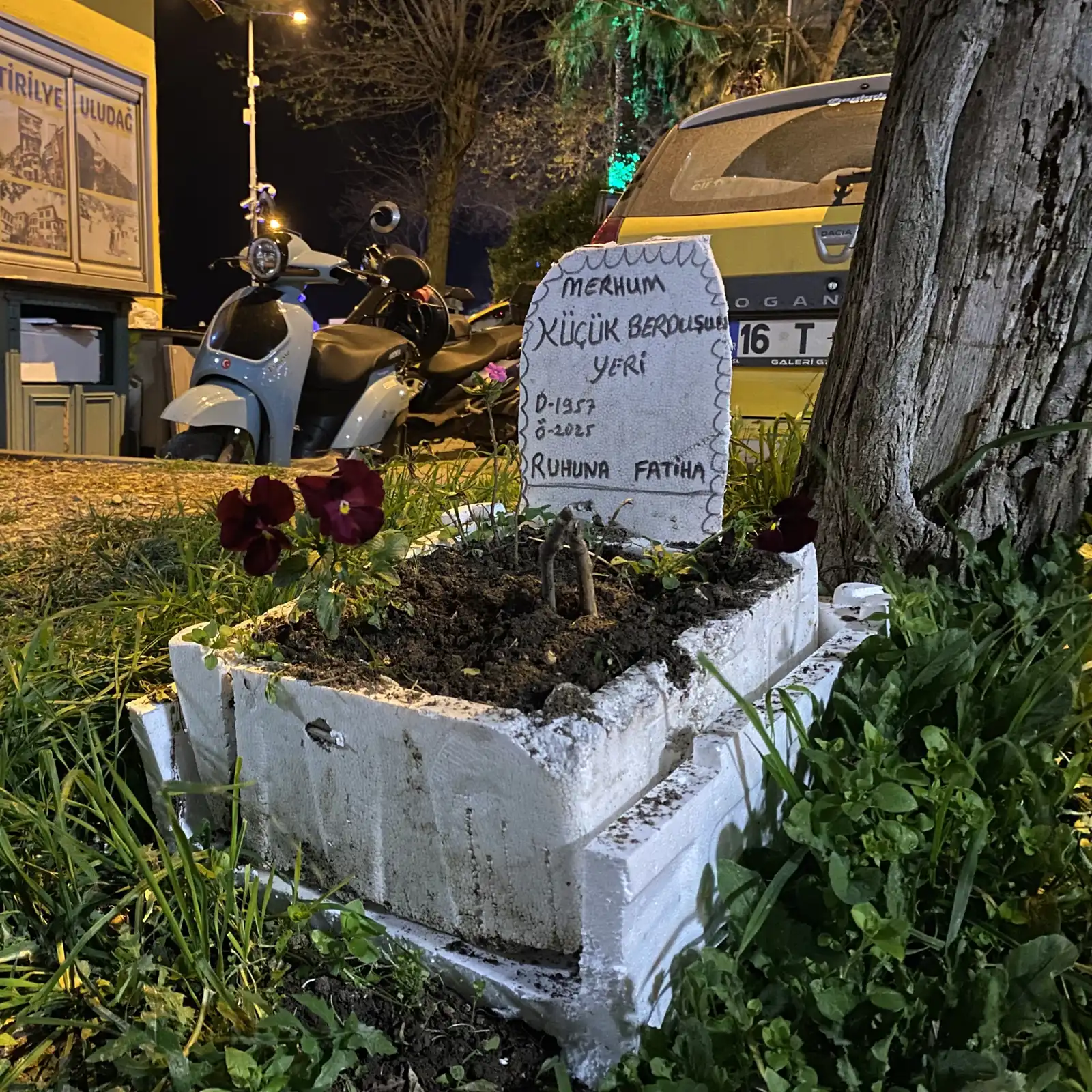 قبر الببغاء