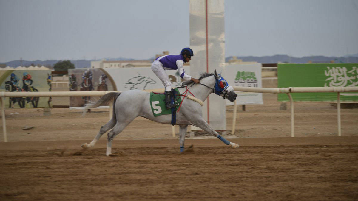 أمل فيصل.. أول فارسة تشارك في سباقات ميدان الخيل الرسمي بالسعودية