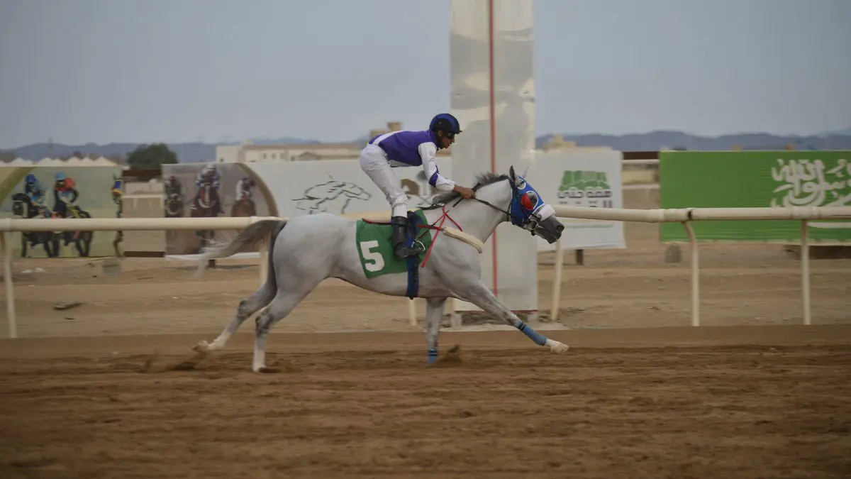 أمل فيصل.. أول فارسة تشارك في سباقات ميدان الخيل الرسمي بالسعودية