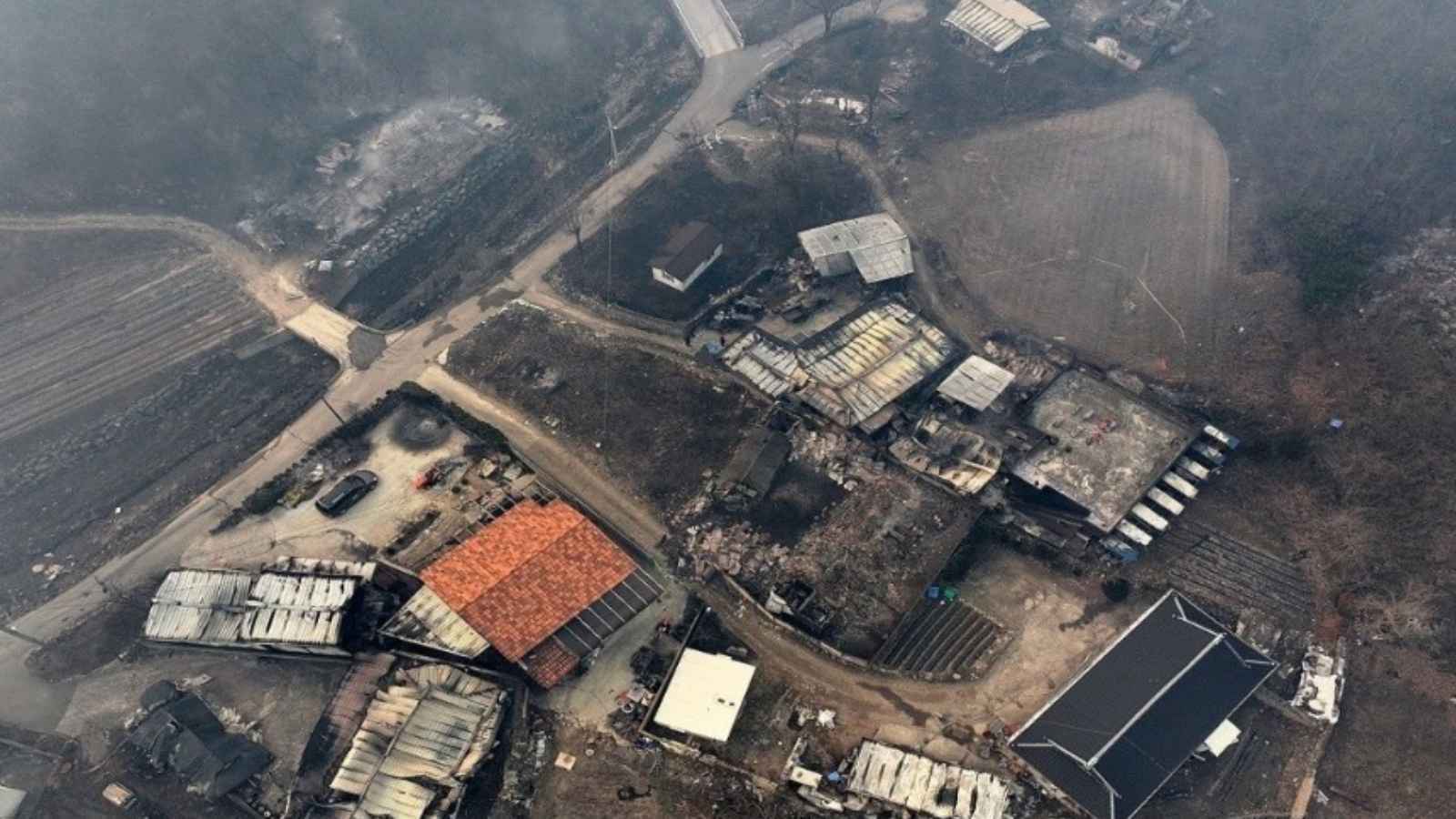 احتواء 95% من حرائق الغابات في كوريا الجنوبية