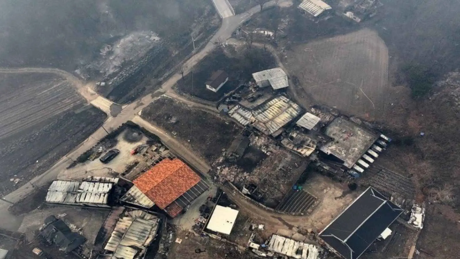 احتواء 95% من حرائق الغابات في كوريا الجنوبية