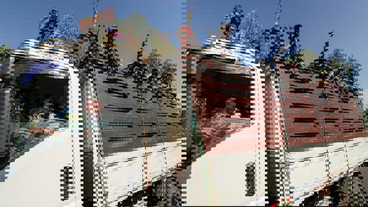 قوات تيغراي تنسحب من إقليمي أمهرة وعفر