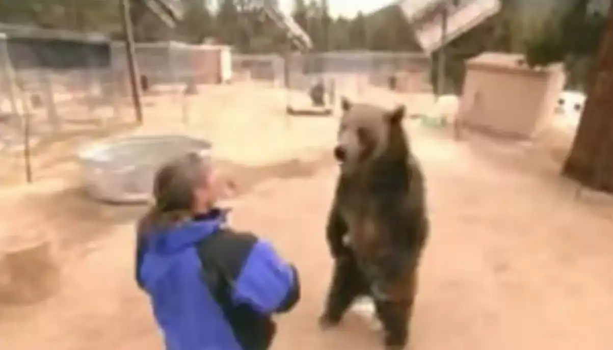 الضحية قبل الهجوم