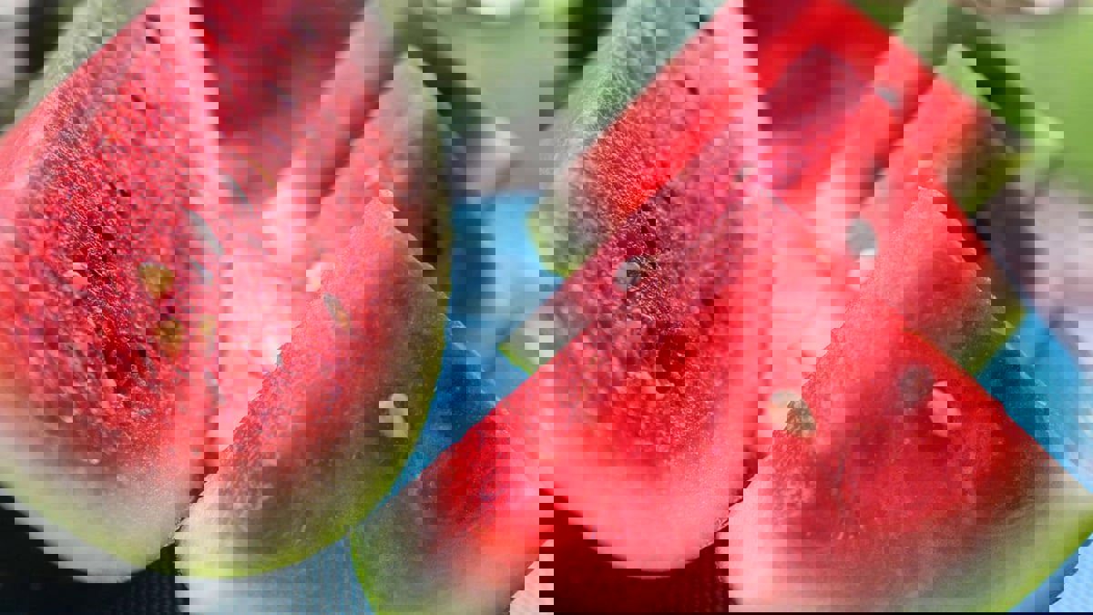 البطيخ لترطيب البشرة وتعزيز حيوية الشعر 