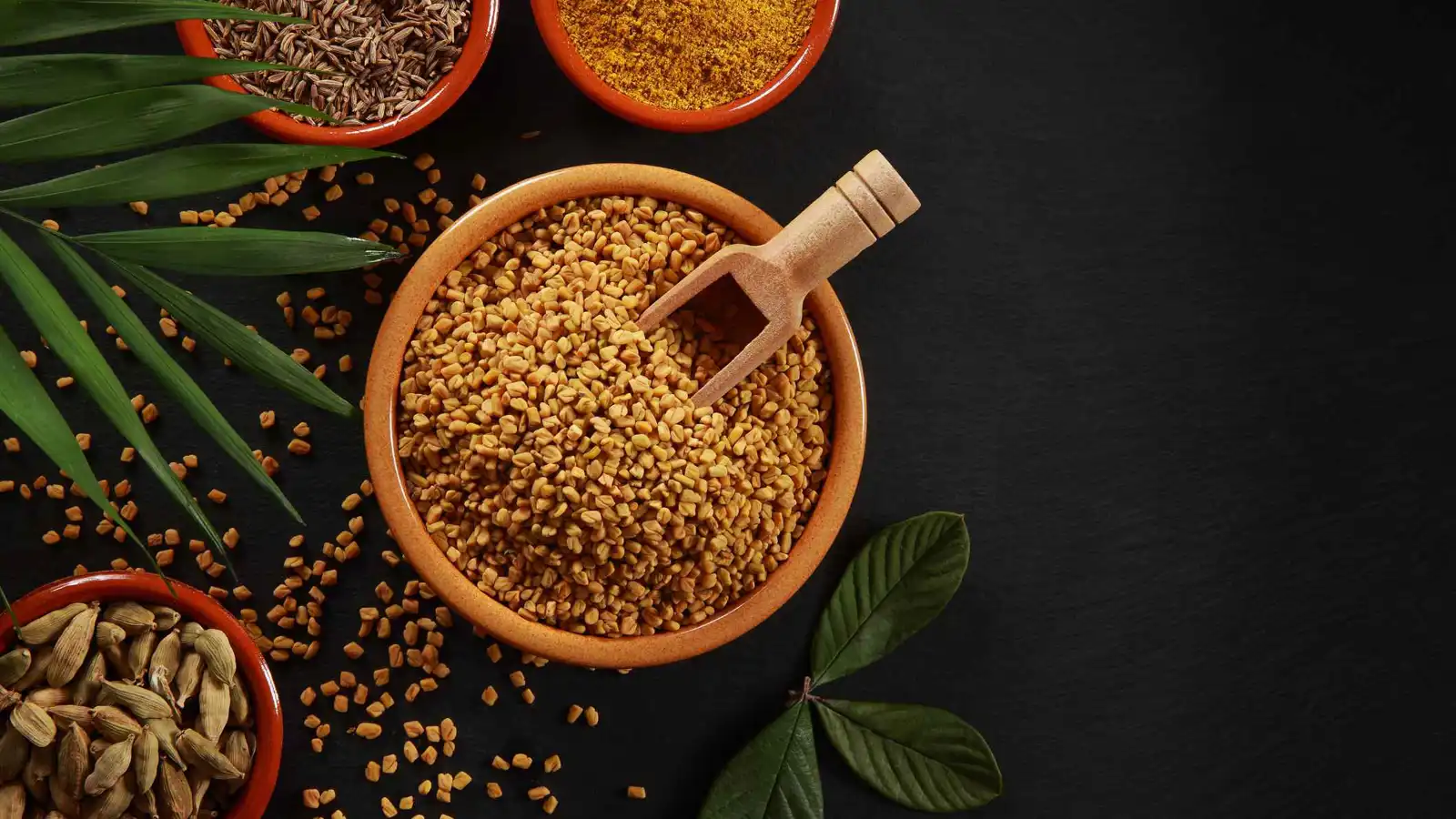 فوائد بذور الحِلْبة لمرضى السكري.. تعرَّف عليها