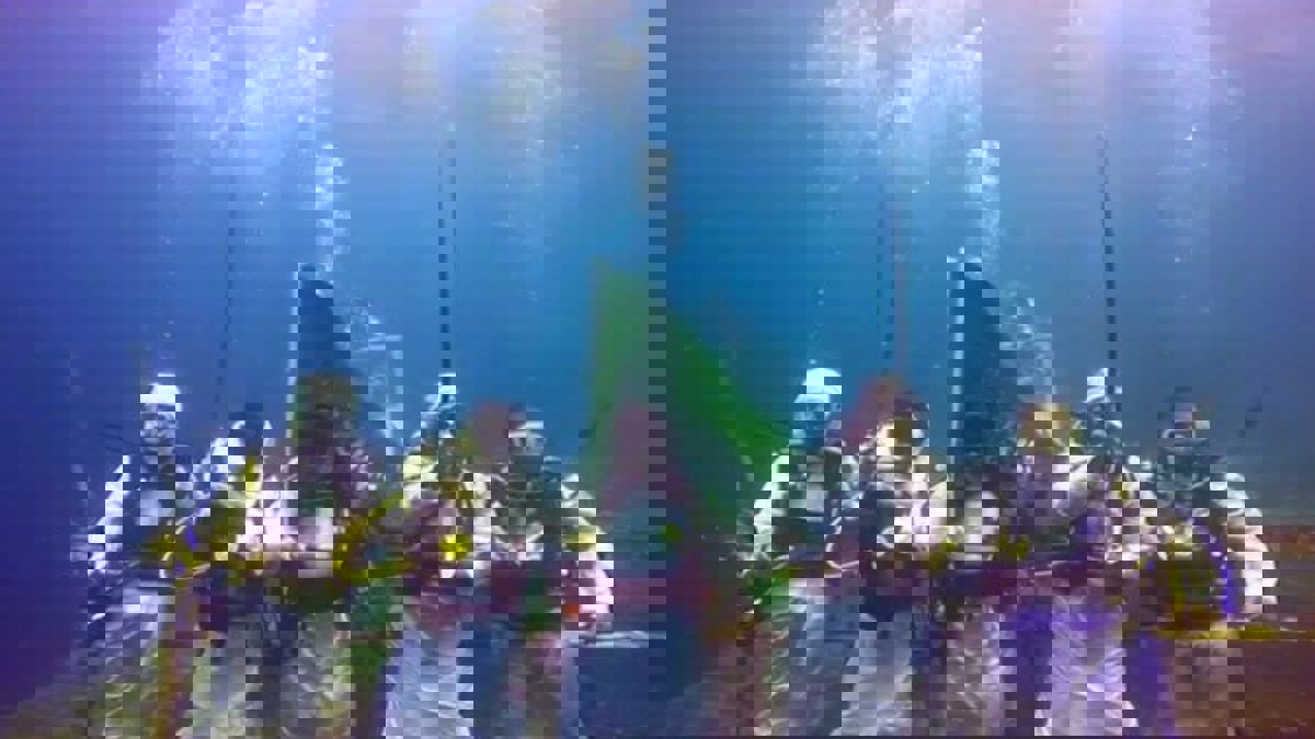 غواصون سعوديون يؤدون "العرضة" تحت الماء 