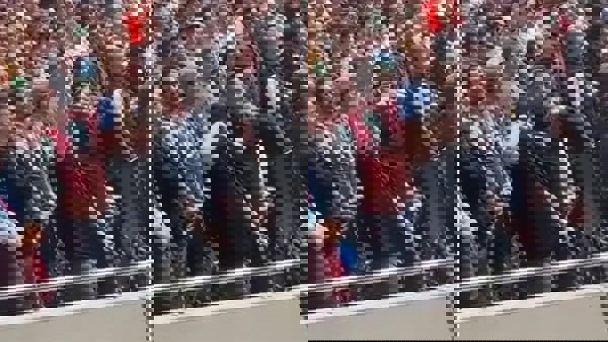 اعتقال ثلاثة مشجعين بعد أدائهم التحية النازية في الدوري الإنجليزي (فيديو وصور)