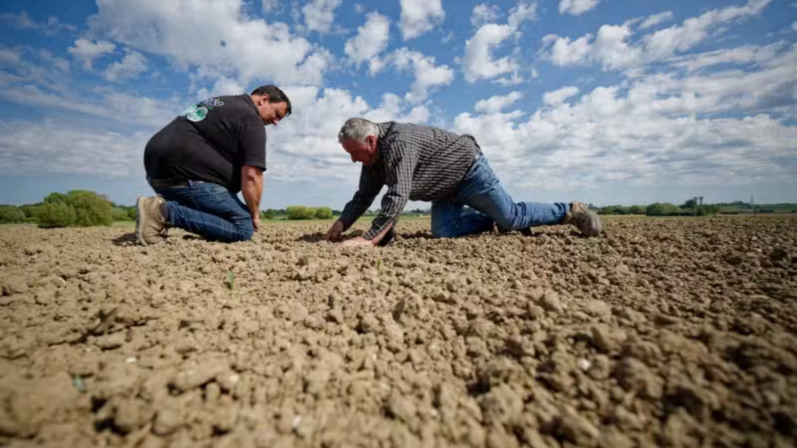 ربيع بلا أمطار.. شبح الجفاف يخيّم على شمال أوروبا