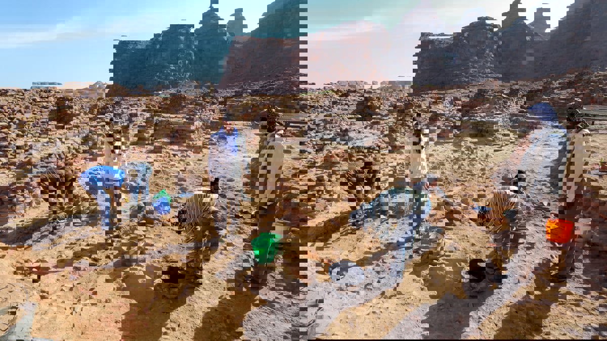 علماء الآثار  يبحثون عن ممالك منسية في السعودية (فيديو)