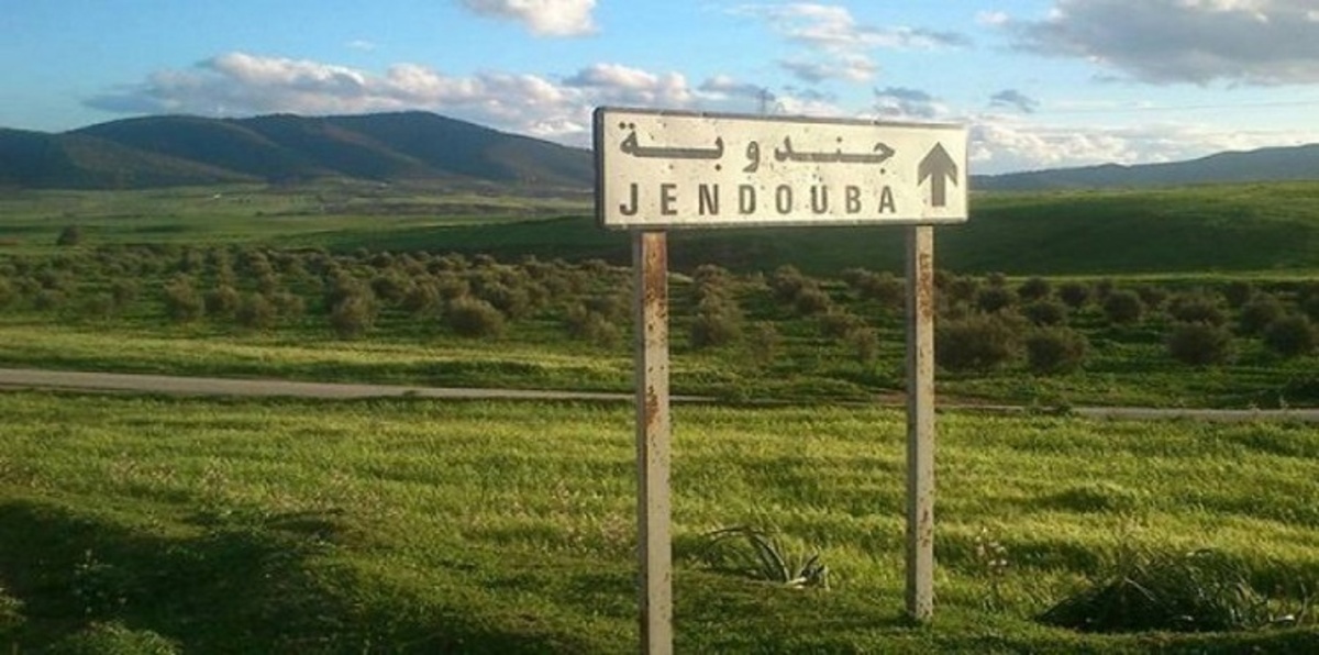 تونس.. مجموعة مسلّحة تقتحم محطة للإرسال الإذاعي والتلفزي بولاية جندوبة