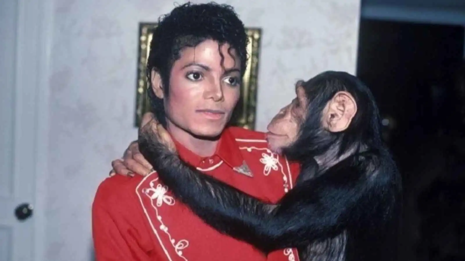 بعد عودته للأضواء.. أين قرد مايكل جاكسون الشهير "بابلز"؟