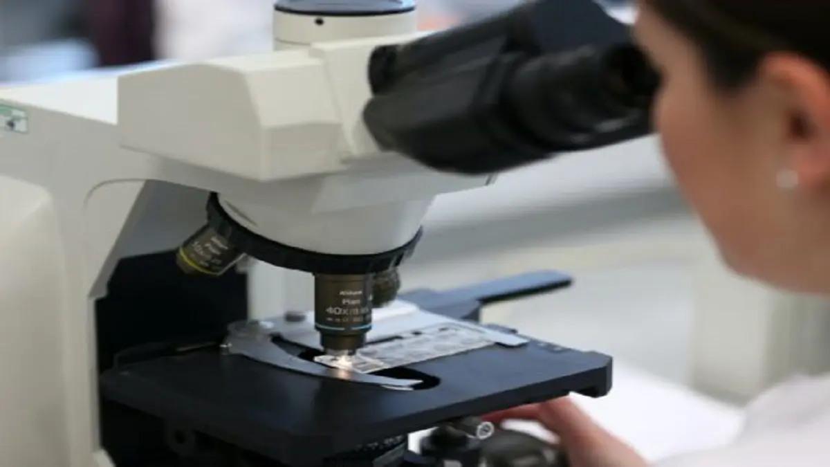 علماء يطورون ساعة لاجينية تكشف مدى سرعة التقدم في العمر‎