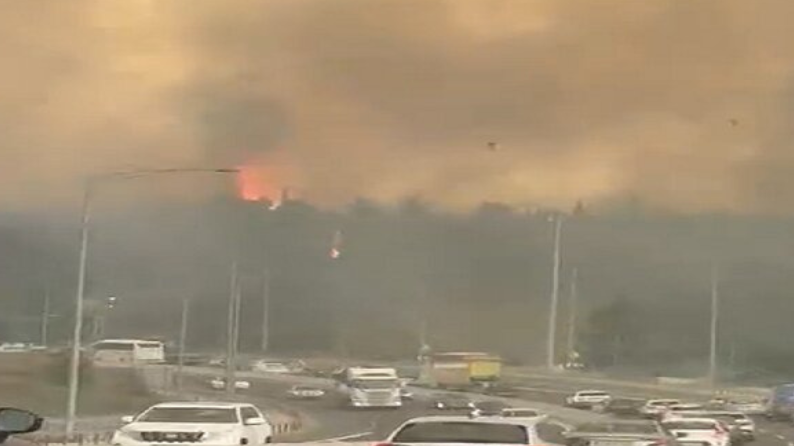 وسط فوضى وعمليات إخلاء.. حرائق كبيرة تجتاح مستوطنات قرب القدس (فيديو)