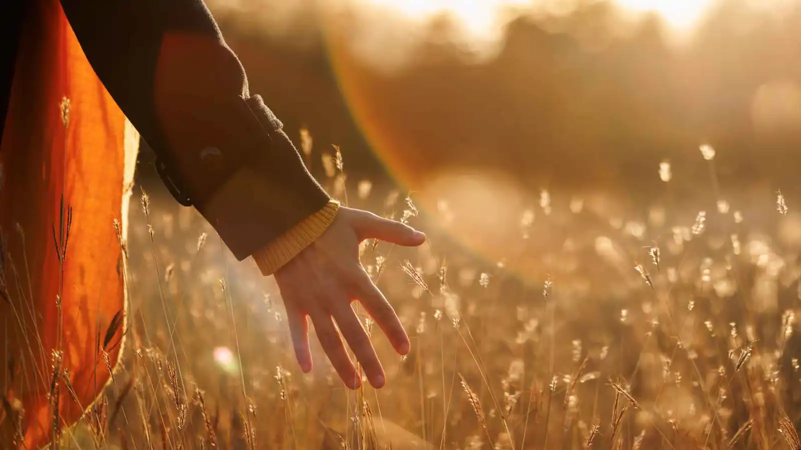 7 نصائح من "مؤثري الكفاف" لعيش حياة سعيدة بأقل التكاليف