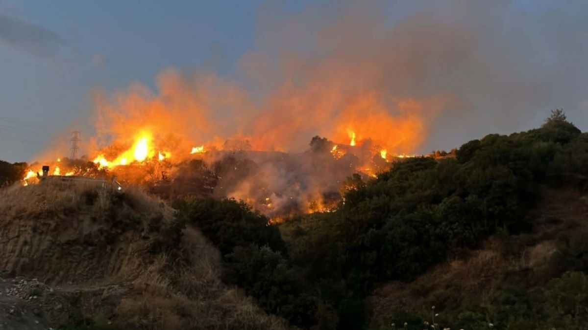 تركيا.. حريق غابات كبير بسبب "قرادة"