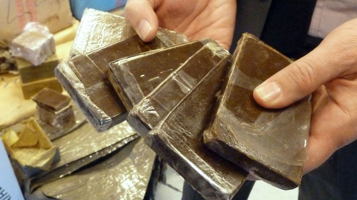 وسط جدل واسع.. مقترح قانون يسمح بإنتاج "القنب الهندي" سيعرض على البرلمان التونسي 